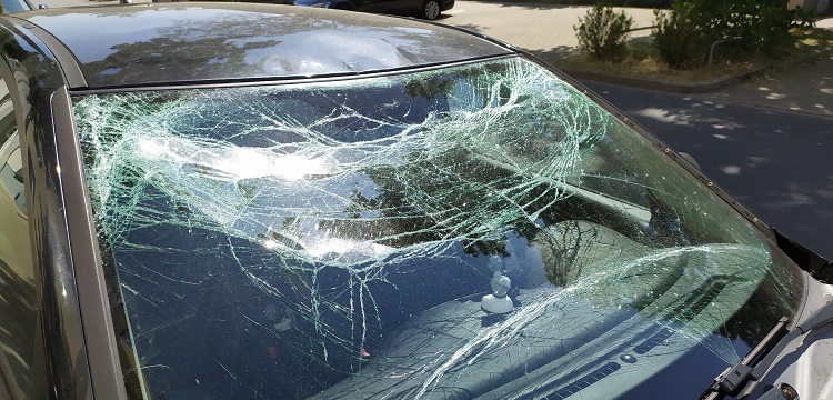 海洋環(huán)境監(jiān)測：赤潮應(yīng)急監(jiān)測與專題監(jiān)測