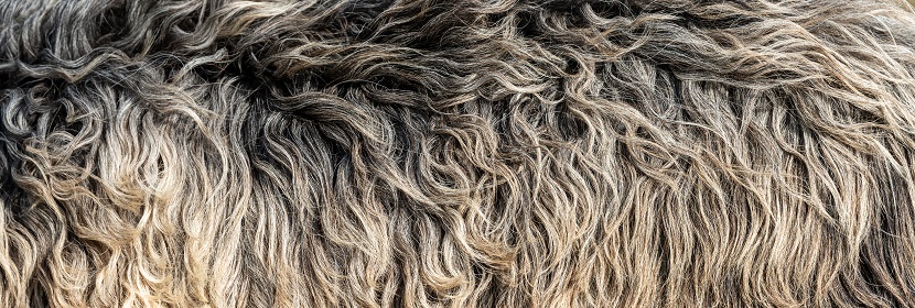 ROHS檢測產(chǎn)品范圍和ROHS需要準備的資料?ROHS檢測認證是什么