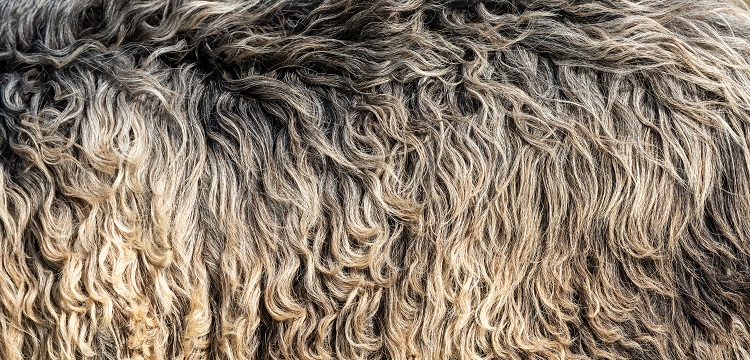 304不銹鋼做RoHS檢測需要檢測哪些項目?歐盟ROHS認證是什么 做外貿(mào)的朋友快來了解一下