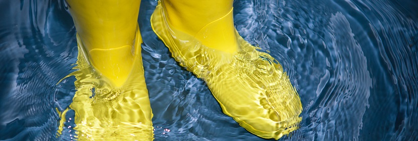 出口產(chǎn)品RoHS檢測?有害物質(zhì)歐盟ROHS檢測認(rèn)證辦理費用