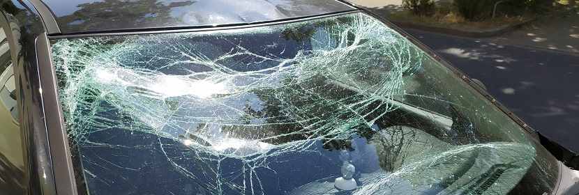 國(guó)內(nèi)抗原檢測(cè)試劑盒，哪家比較靠譜呢 ?實(shí)驗(yàn)筆記丨病毒感染細(xì)胞實(shí)驗(yàn)的步驟詳解（上卷）