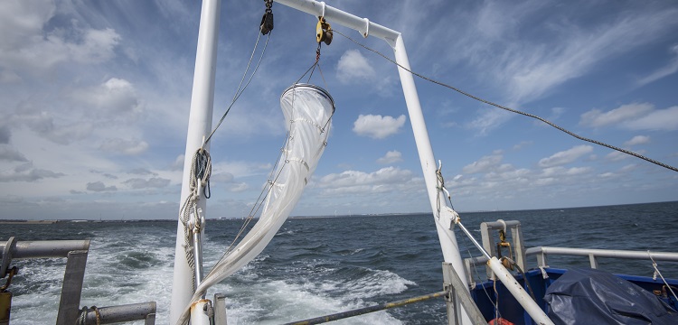 食品接觸材料檢測項目大匯總！