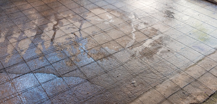 媒體報(bào)道多個(gè)電商平臺有售「造假消毒液」，用「甲醇冒充酒精」售賣，甲醇對人體的危害有多大 如何辨別 ?寵物醫(yī)院用什么消毒液? 健明迪檢測