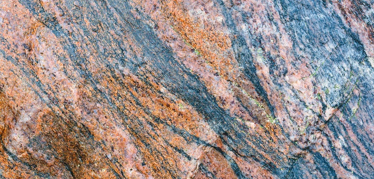 2022年廣東省最新林業(yè)碳匯申報(bào)要求匯總：方法學(xué)、申報(bào)模板、材料清單