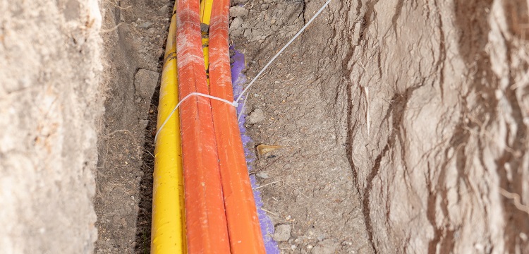 運(yùn)輸鑒定報(bào)告和分類鑒定報(bào)告的區(qū)別?產(chǎn)品出口寄件 貨物運(yùn)輸鑒定報(bào)告書(shū)辦理 健明迪檢測(cè)