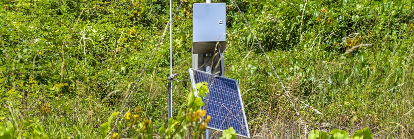 城市供水及飲用水中微生物如何快速檢測 這幾個單位的對比給出答案！?微生物高分文章必備分析LEfSe?健明迪