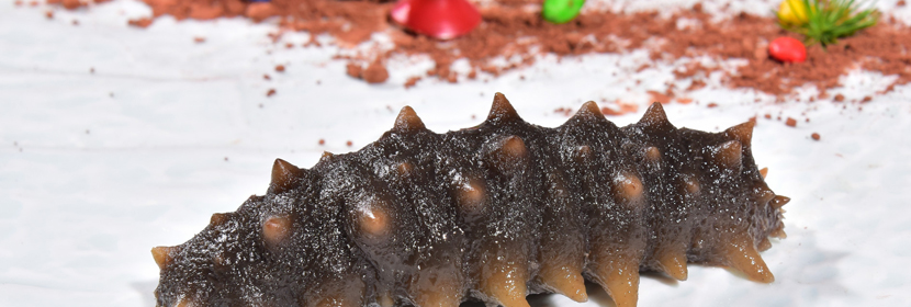 獸藥殘留測(cè)試