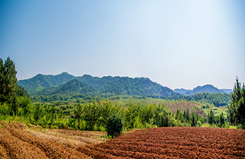 土壤常規(guī)45項(xiàng)檢測