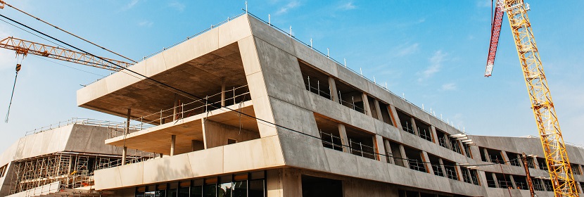 過(guò)敏性紫癜大耳白兔模型