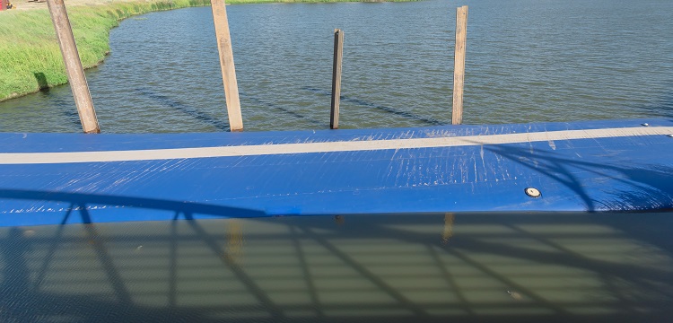 大鼠被動皮膚過敏模型