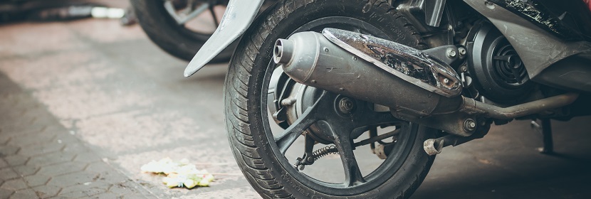 類(lèi)風(fēng)濕關(guān)節(jié)炎大鼠模型