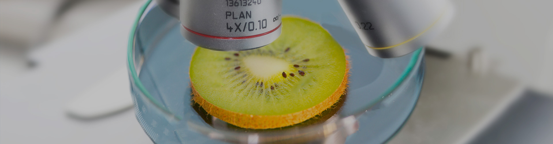 氧化鉭檢測(cè)