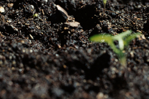 無(wú)醛膠檢測(cè)