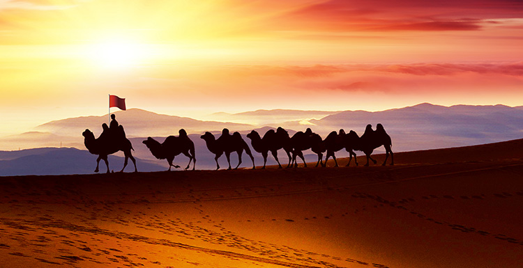 酞青藍(lán)檢測(cè)報(bào)告