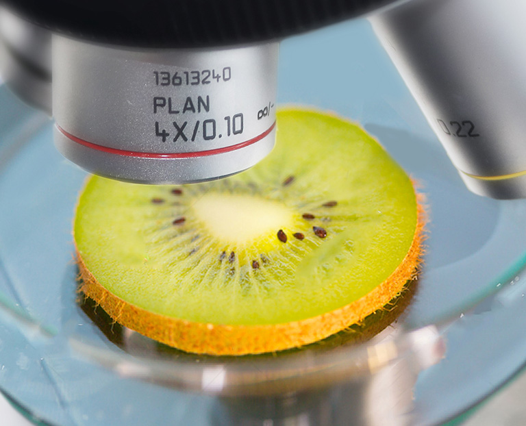 硫化黑檢測(cè)報(bào)告