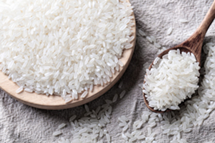 防震器檢測(cè)