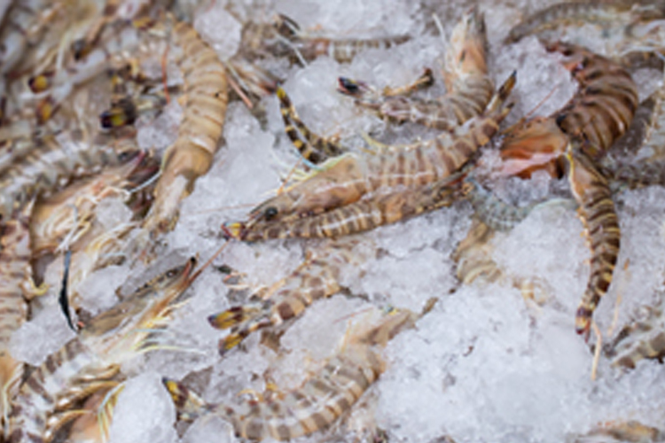 硅錳合金檢測(cè)