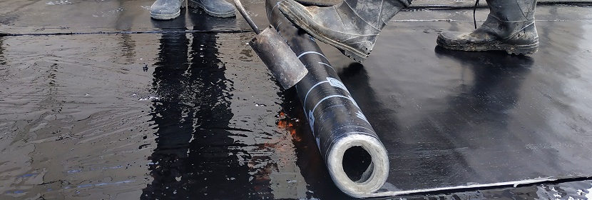 鹽酸辛弗林檢測(cè)