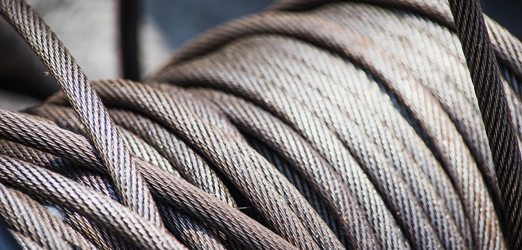 芐基腺嘌呤檢測(cè)