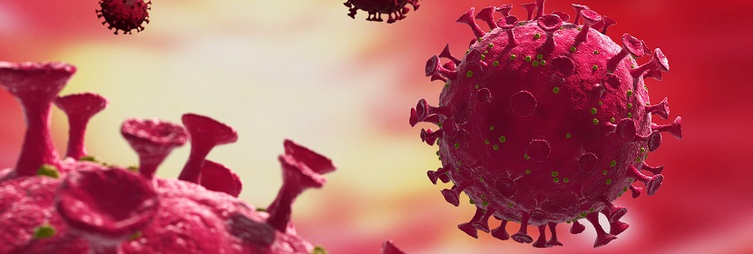 毒理學(xué)試驗(yàn)評估