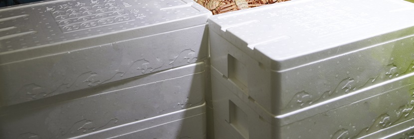 生物分解性能檢測(cè)