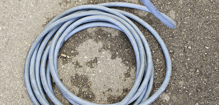 肌動(dòng)蛋白抗體檢測(cè)