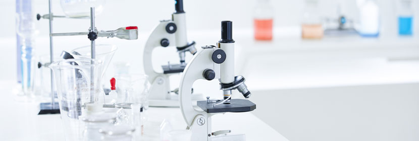 手術(shù)造模服務(wù)