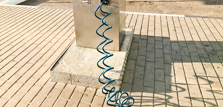 Pax1點(diǎn)突變外耳畸形小鼠模型