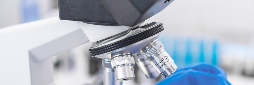 汽車(chē)保險(xiǎn)杠聚丙烯(PP)專(zhuān)用料檢測(cè)