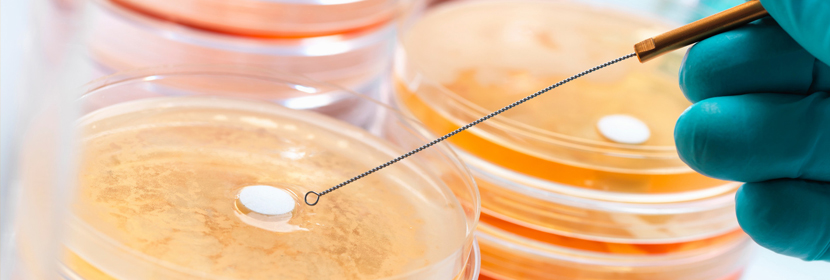 食品微生物檢測(cè)