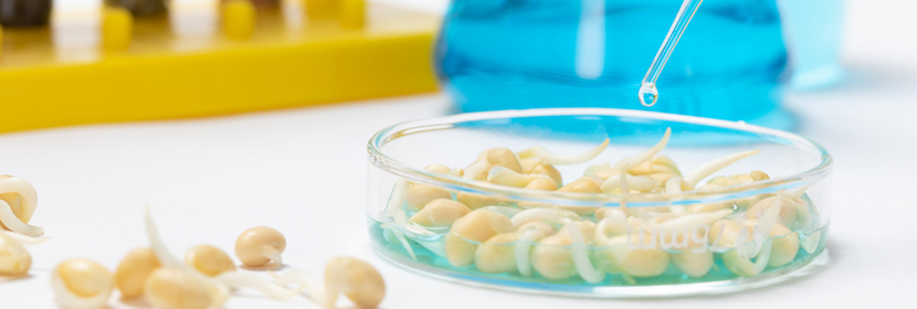 食品毒害物質(zhì)檢測