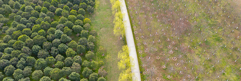 水土保持監(jiān)測(cè)