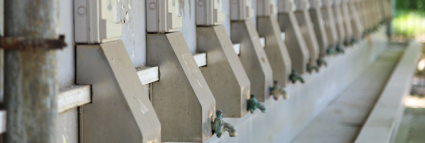 城市供水水質(zhì)檢測(cè)