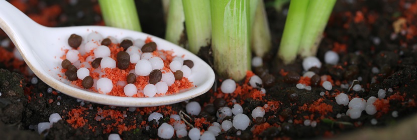 腐植酸微量元素肥料檢測(cè)