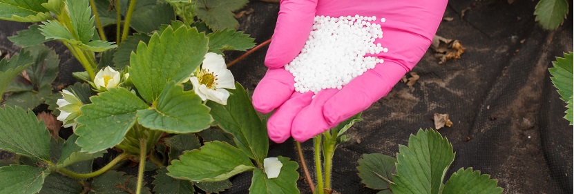 控釋鉀肥檢測(cè)檢測(cè)