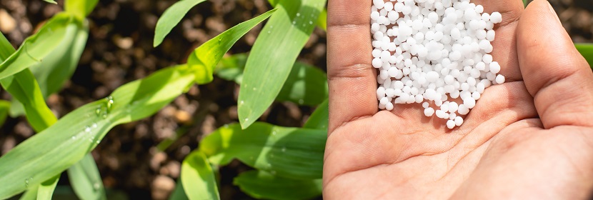 高爾夫球場(chǎng)草坪專用肥檢測(cè)