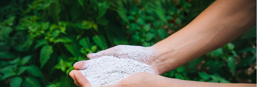 生物發(fā)酵肥檢測