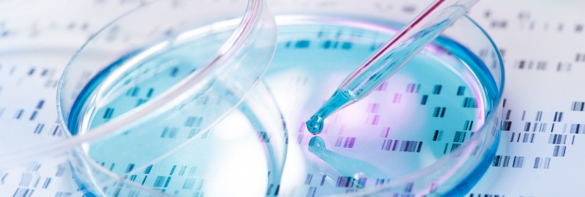 化妝品細(xì)胞染色體畸變試驗