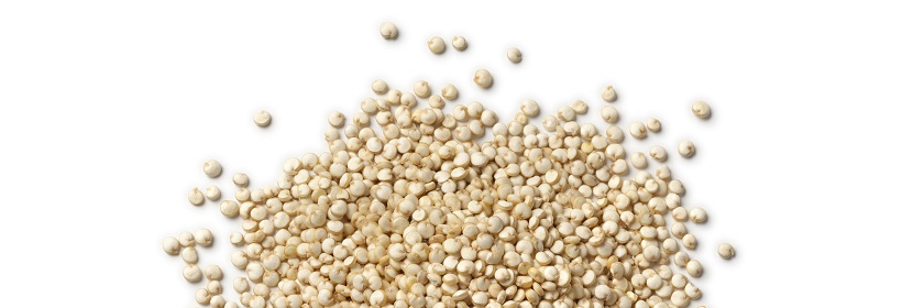 硅酸鹽細(xì)菌肥料檢測(cè)