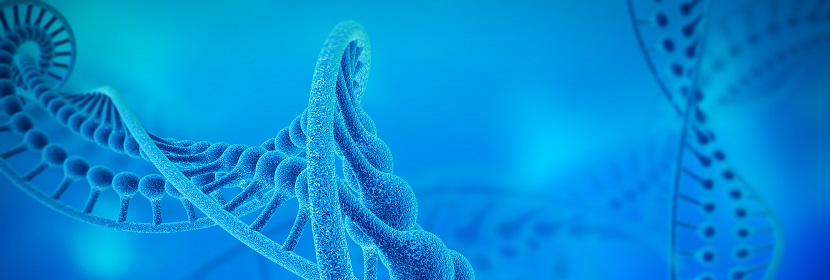 化妝品體外哺乳動物細胞基因突變試驗