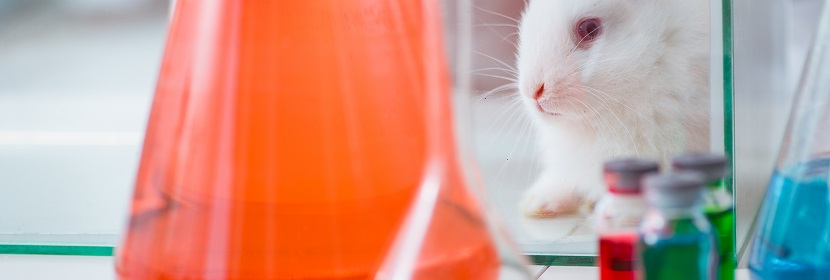 空氣消毒劑急性經(jīng)口毒性試驗