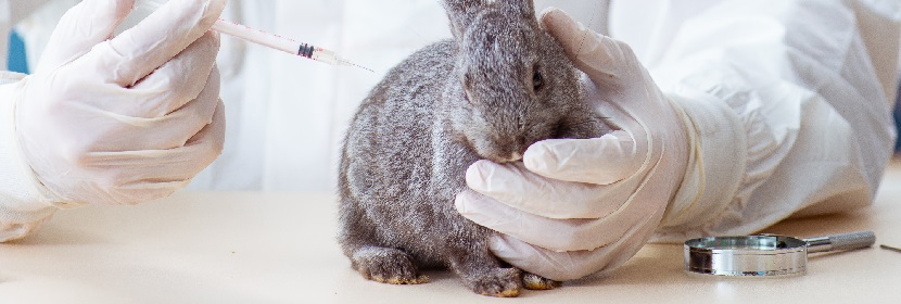 黏膜消毒劑一次陰道黏膜刺激試驗(yàn)（偶爾用）