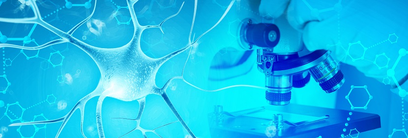 對(duì)氯間二甲苯酚消毒劑備案檢測(cè)