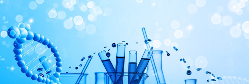 燃油蒸發(fā)排放控制炭罐用顆?；钚蕴繖z測