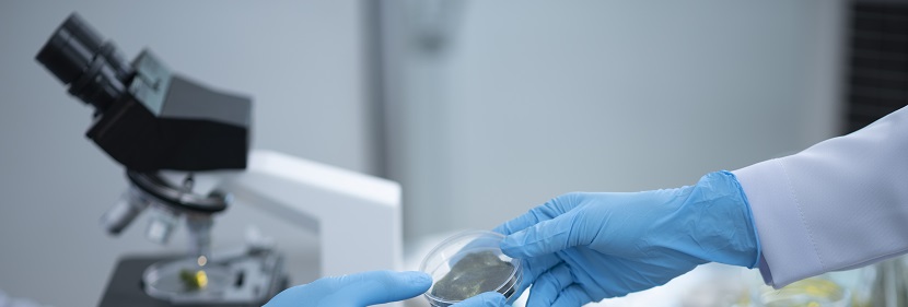 擠出聚丙烯發(fā)泡片材檢測