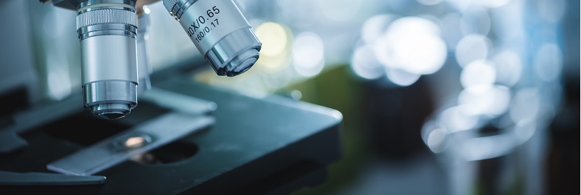 食品包裝用紙與塑料復(fù)合膜、袋檢測(cè)