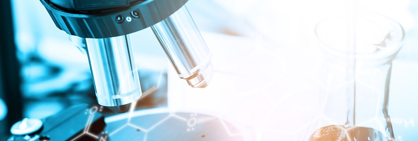 木質(zhì)味精精制用顆粒活性炭檢測(cè)