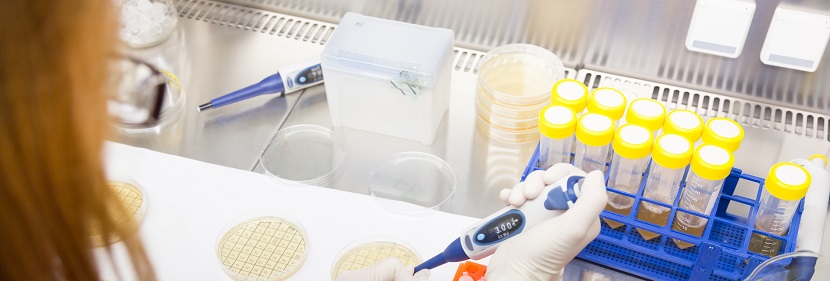 聚碳酸酯樹脂檢測(cè)